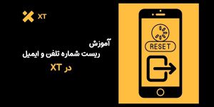 ریست شماره تلفن و ایمیل در XT | با چند قدم ساده در 5 دقیقه