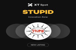 STUPID و CLOUDY در صرافی XT| با پتانسیل بالا و سودآوری