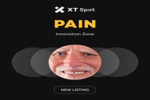 PAIN در ایکس تی | سرمایه گذاری با ریسک کم