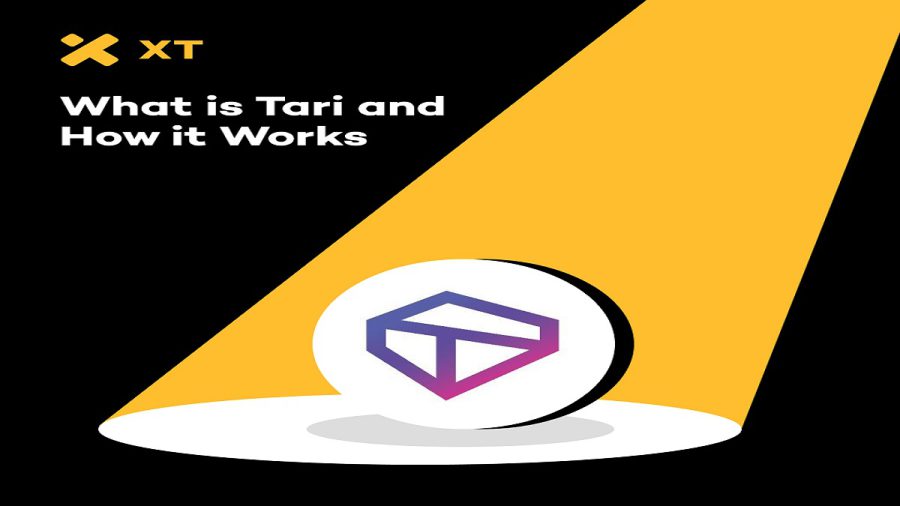 مدل دو توکنی Tari